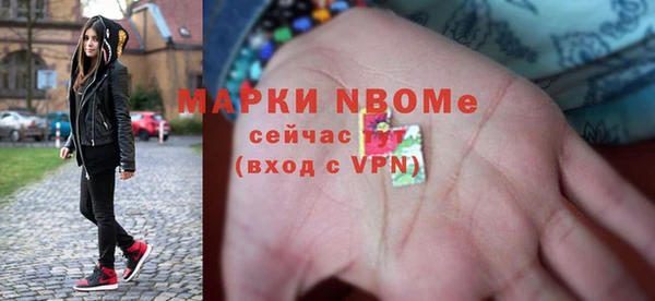 индика Аркадак