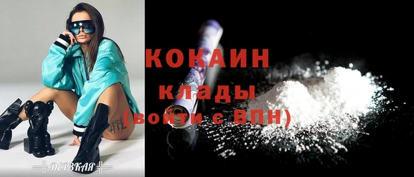 индика Армянск