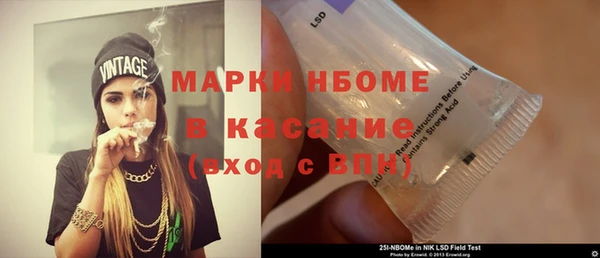индика Армянск