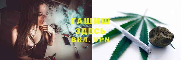 индика Армянск