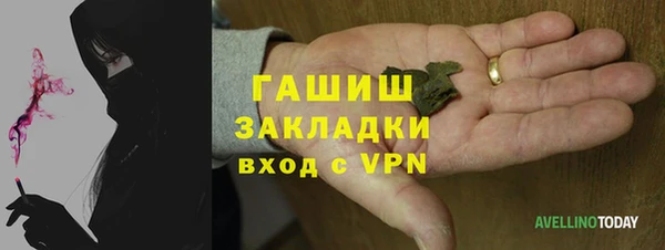 индика Аркадак