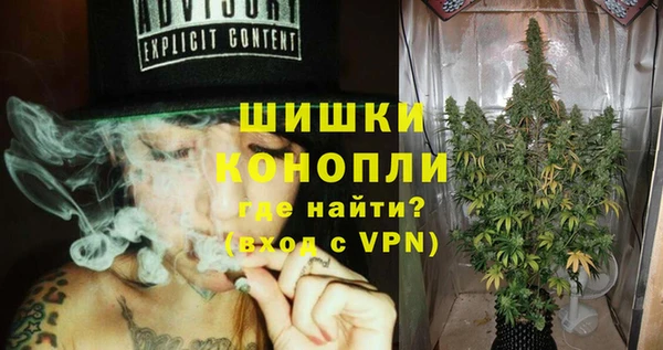 индика Аркадак