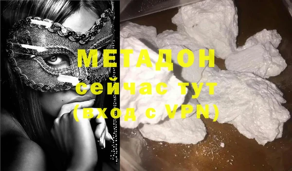 индика Аркадак