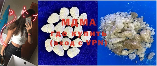 индика Аркадак