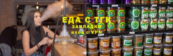 индика Аркадак