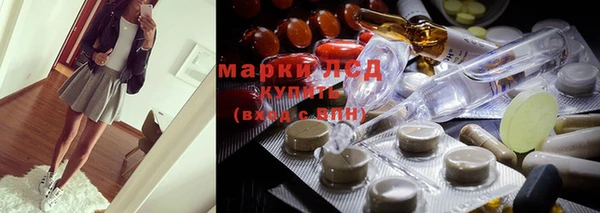 индика Аркадак