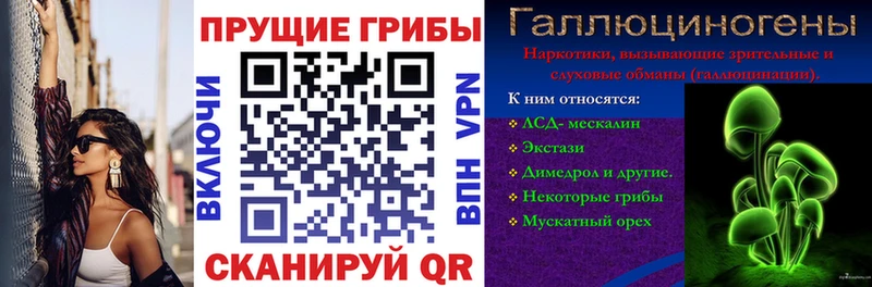 Псилоцибиновые грибы Psilocybe  Кириши 