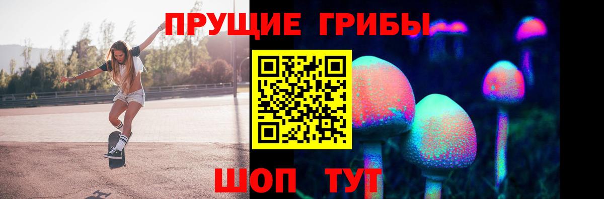 Псилоцибиновые грибы мицелий Кириши